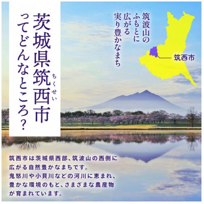 アールスメロン 1玉 完熟メロン 大玉 茨城県 kek062