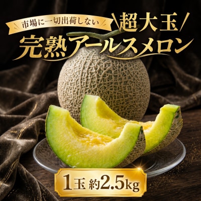 完熟 アールスメロン 1玉 メロン 超大玉 kek063