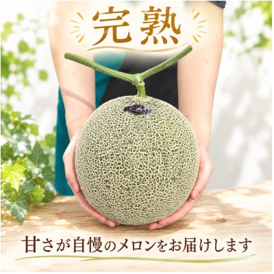 アールスメロン 2玉 完熟メロン 大玉 茨城県 kek002