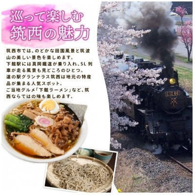 アールスメロン 2玉 完熟メロン 大玉 茨城県 kek002