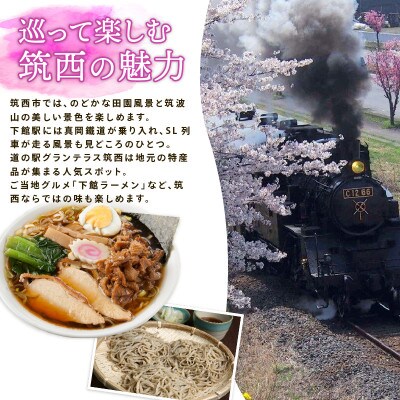アールスメロン 4-5玉 完熟メロン 大玉 茨城県 kek058