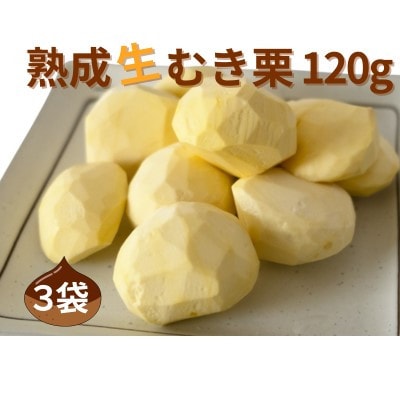 �y �g���_�� �� ���n�I �z �n�� ���ނ��I 3�� ( 120g × 3�� )