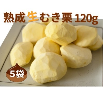 �y �g���_�� �� ���n�I �z  �n�� ���ނ��I 5�� ( 120g × 5�� )