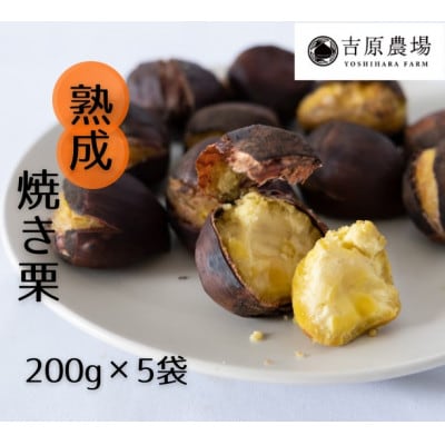 �y �g���_�� �� ���n�I �z  �n�� �Ă��I 5�� ( 200g × 5�� )