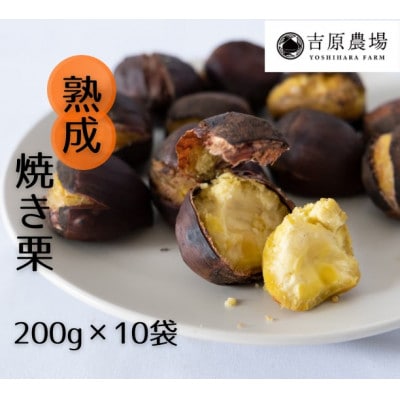 �y �g���_�� �� ���n�I �z  �n�� �Ă��I 10�� ( 200g × 10�� )