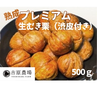【 吉原農場 の 完熟栗 】  熟成 プレミアム 生むき栗 ( 渋皮付き ) 1袋 500g