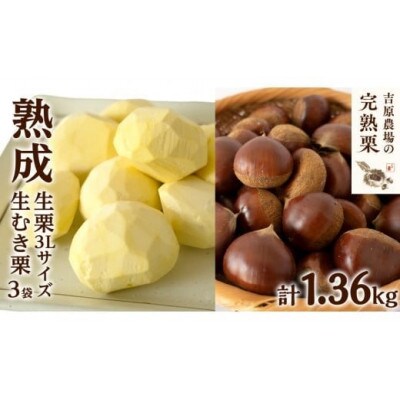 【 吉原農場 の 完熟栗 】熟成 生栗 1kg 3Lサイズ ・ 生むき栗 3袋 セット