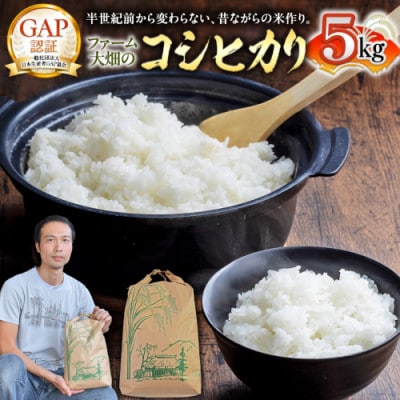茨城県産 コシヒカリ 精米 5kg×1袋
