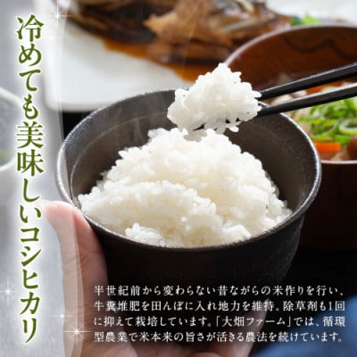 茨城県産 コシヒカリ 精米 5kg×1袋
