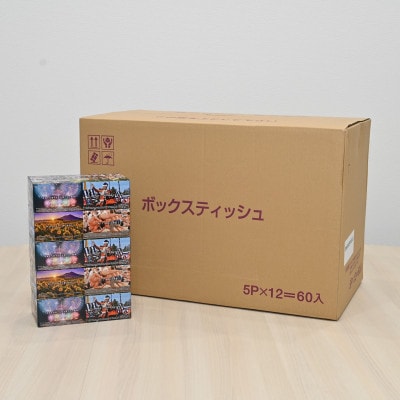 ボックスティッシュ60箱 5個×12セット ckm001【入金確認後、最短5営業日で発送予定】
