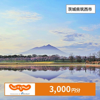 【じゃらんふるさと納税クーポン】 茨城県筑西市でつかえる3,000円 クーポン