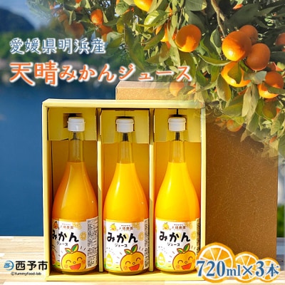 愛媛県明浜産 天晴みかんジュース 3本セット