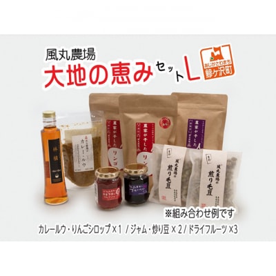 ドライフルーツ 大地の恵み セット L 風丸農場 ドライアップル ドライ [53841210]