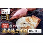 炭火焼きイカ 8パック セット [53841272]