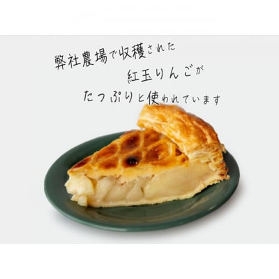 アップルパイ 青森 パイ専門店が作った 紅玉 りんごのアップルパイ 22cm [53841357]