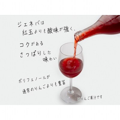 風丸農場 赤いりんごのジュース 無添加 青森県産 720ml×2本セット[53841553]