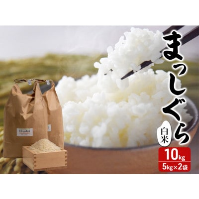 令和7年産 まっしぐら 白米 10kg (5kg×2袋) 精米 [53841306]