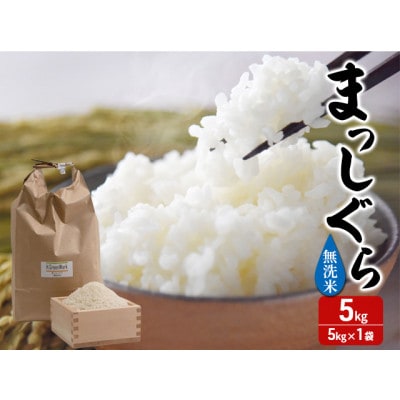 令和7年産 まっしぐら 無洗米 5kg 1袋 [53841307]