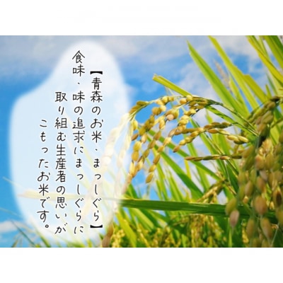 令和7年産 まっしぐら 無洗米 5kg 1袋 [53841307]