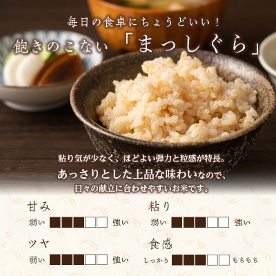 まっしぐら 玄米 30kg H.GREENWORK 令和7年産 [53841362]