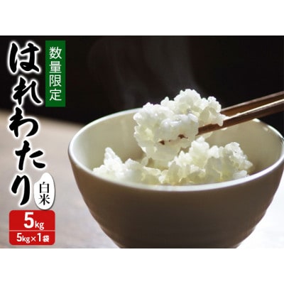 令和7年産 はれわたり 白米 5kg 1袋 [53841707]
