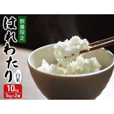 令和7年産 はれわたり 白米 10kg (5kg×2袋) [53841708]