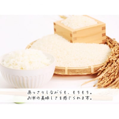 令和7年産 はれわたり 白米 10kg (5kg×2袋) [53841708]