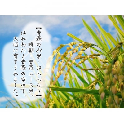 令和7年産 はれわたり 無洗米 5kg 1袋 [53841709]