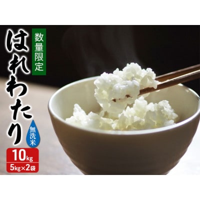 令和7年産 はれわたり 無洗米 10kg (5kg×2袋) [53841710]