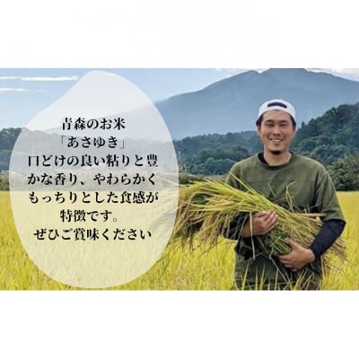 令和7年産 あさゆき 無洗米 5kg H.GREENWORK [53841810]