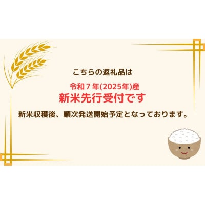 令和7年産 あさゆき 無洗米 10kg H.GREENWORK [53841811]