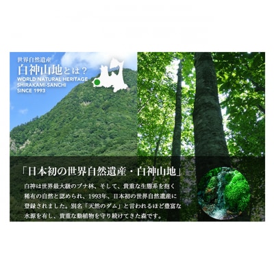 白神山地の水 500ml×24本 ナチュラルウォーター 青森県 鰺ヶ沢町国産[53841011]