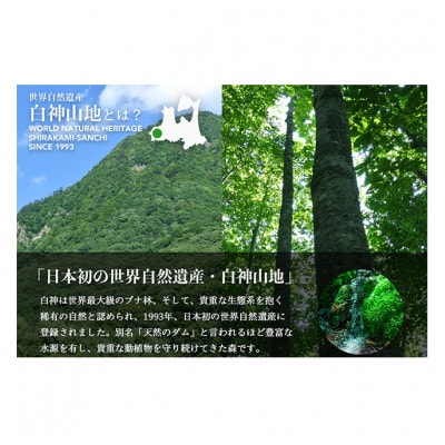 【毎月定期便】白神山地の水 2L×12本[53841036]全12回