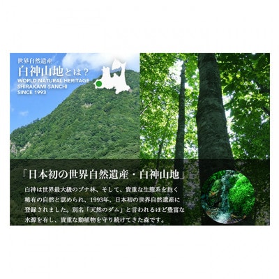 【3ヵ月毎定期便】白神山地の水 350ml×24本[53841426]全4回