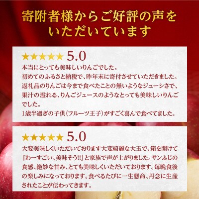青森 サンふじ りんご 約5kg (12～16玉)[53841246]