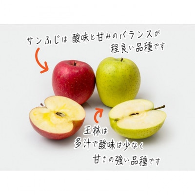 青森 サンふじ 王林 約10kg (24～36玉) りんご詰め合わせ セット