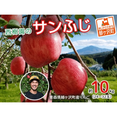 《先行予約》 りんご 特選 サンふじ 青森県産 約 10kg  (24～32玉)[53841385]
