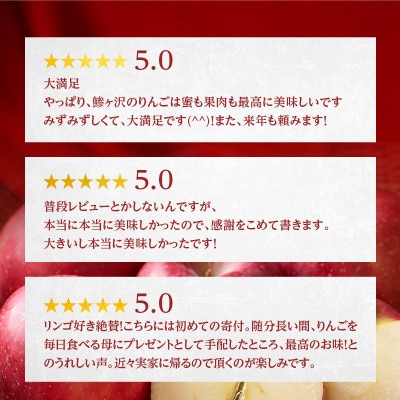 青森 サンふじ りんご 約10kg (24～36玉)[53841385]
