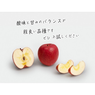 青森 サンふじ りんご 約10kg (24～36玉)[53841385]