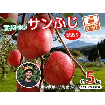 《先行予約》 りんご 訳あり サンふじ 青森県産 約 5kg (12～22玉) [53841615]