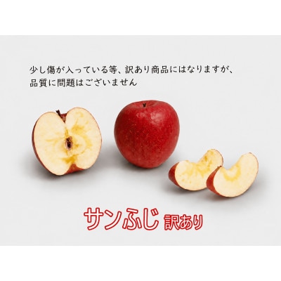 《先行予約》 りんご 訳あり サンふじ 青森県産 約 5kg (12～22玉) [53841615]