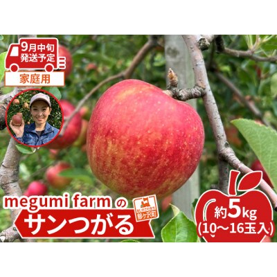 【9月中旬クール便発送】青森県鰺ヶ沢町産りんごmegumi farmのサンつがる[53841734]