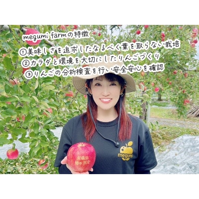 【10月中旬クール便発送予定】りんごmegumi farmのサンジョナゴールド[53841735]