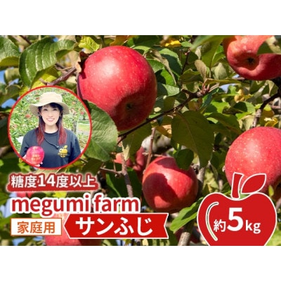 りんご 【 数量限定 】 糖度14度以上 家庭用 サンふじ 約 5kg[53841900]