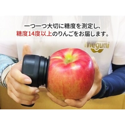 りんご 【 数量限定 】 糖度14度以上 家庭用 サンふじ 約 10kg[53841901]