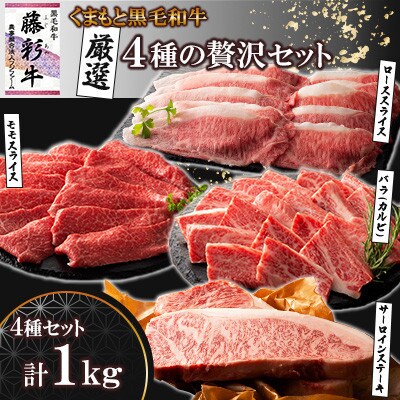 くまもと黒毛和牛「藤彩牛」厳選4種の贅沢セット(菊陽町)