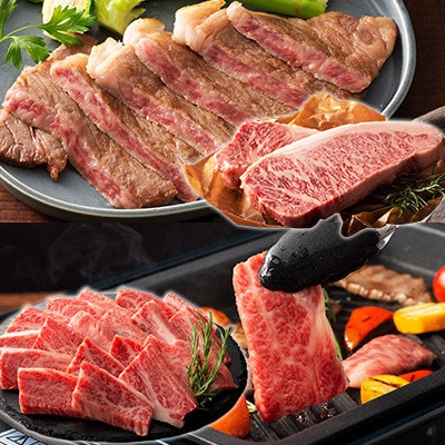くまもと黒毛和牛「藤彩牛」厳選4種の贅沢セット(菊陽町)