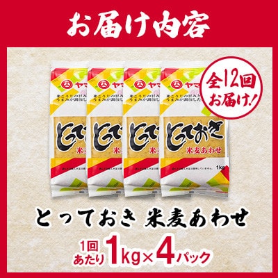 【毎月定期便】とっておき米麦あわせ 1kg×4個/月(菊陽町)全12回