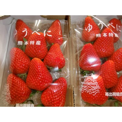 野菜・果物の詰め合わせ