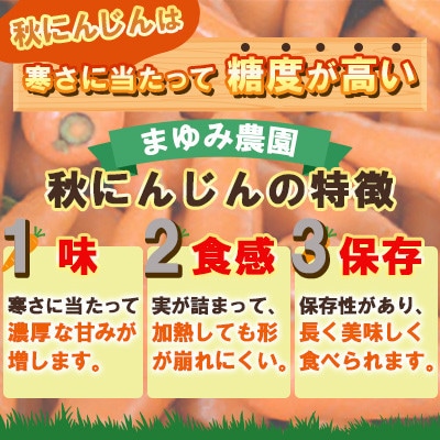 熊本県産 秋にんじん(秀品)10kg まゆみ農園　